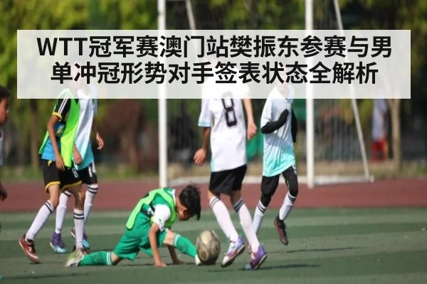 WTT冠军赛澳门站樊振东参赛与男单冲冠形势对手签表状态全解析